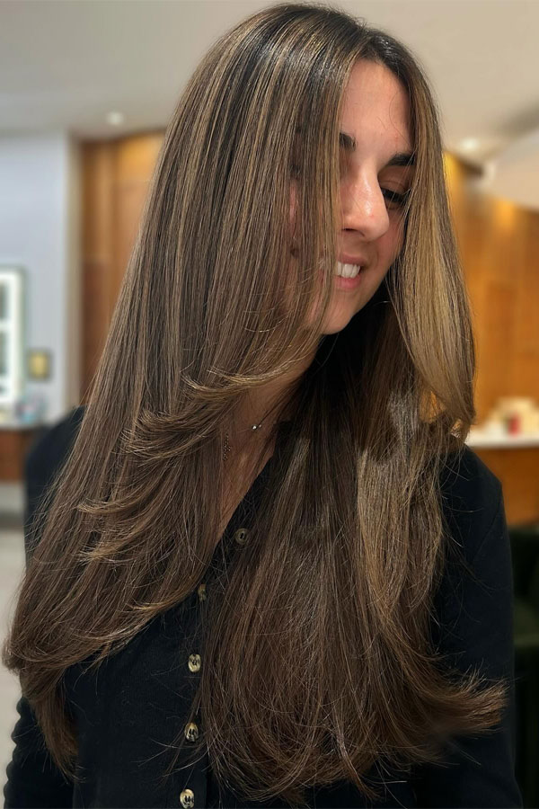 30 The Best Long Haircuts for Fine Hair to Add Volume : Elegant Straight Layers with Soft Balayage