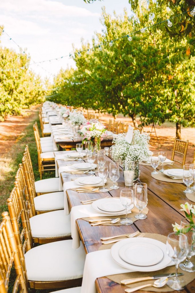 A Cozy Fall Wedding in a Peach Orchard