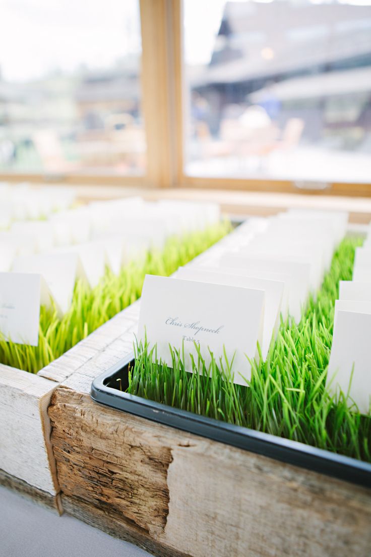 creative idea wheatgrass escort card | fabmood.com