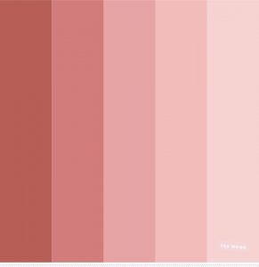 Neutral + pink and shades of redwood color palette | Neutral color