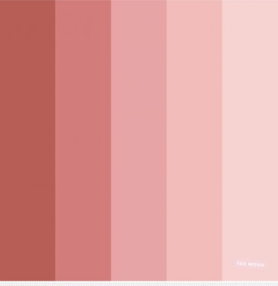 Neutral + pink and shades of redwood color palette | Neutral color