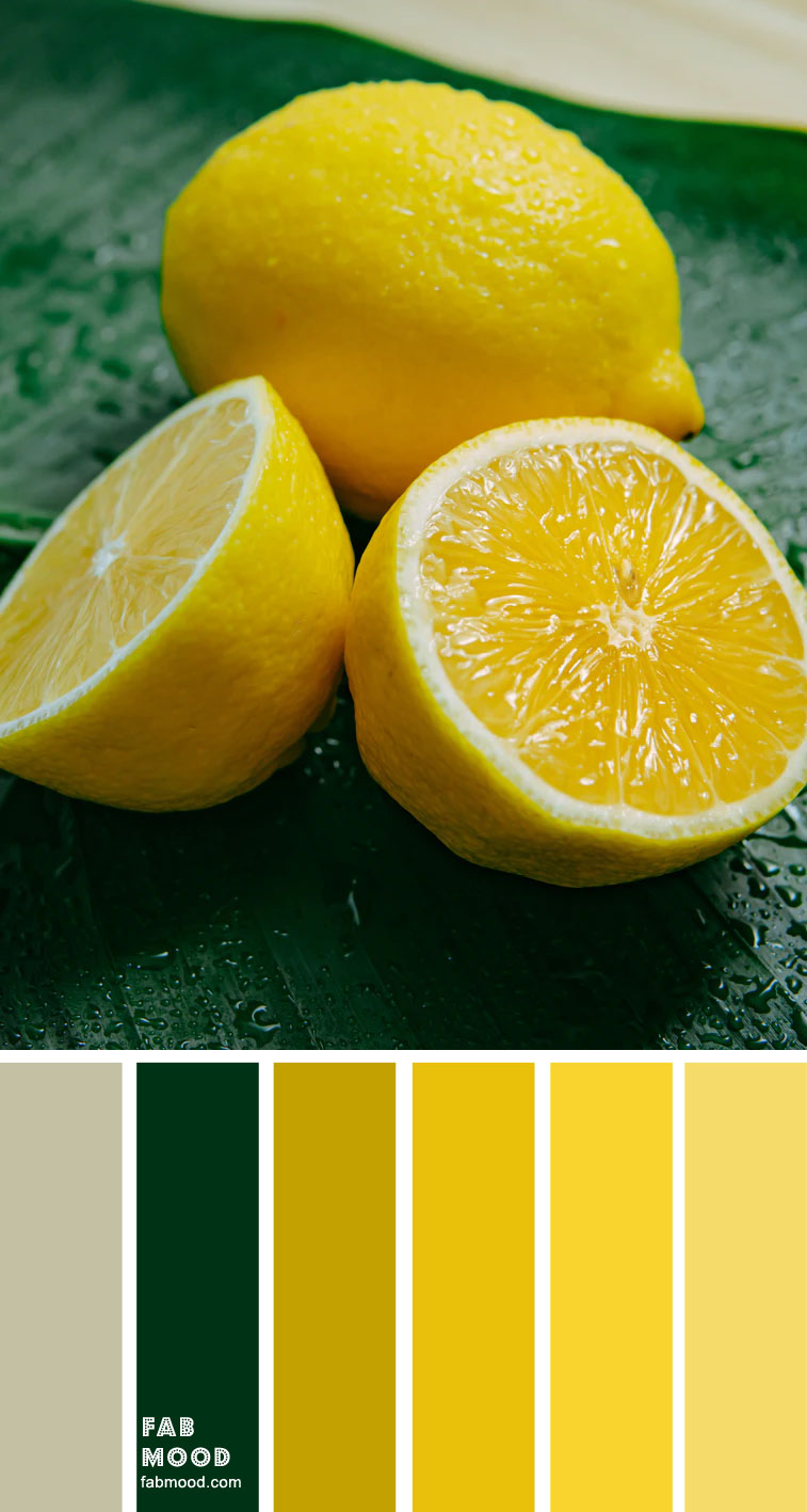 Color Inspiration : Green & Yellow Lemon – Color Palette #36 1 - Fab Mood