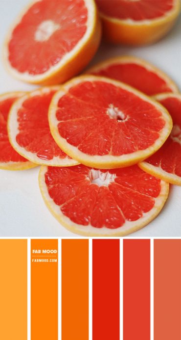 Grapefruit Color Palette – Color Palette #63 1 - Fab Mood 