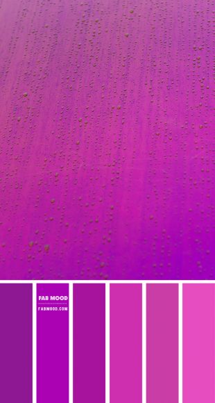 Magenta and purple color scheme - Color Palette #47 1 - Fab Mood ...