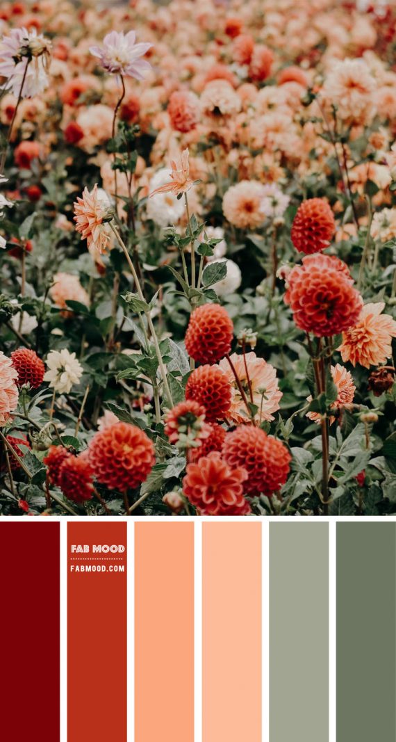 A Bohemian Beach Wedding Colour Palette In Peach Heml 5139