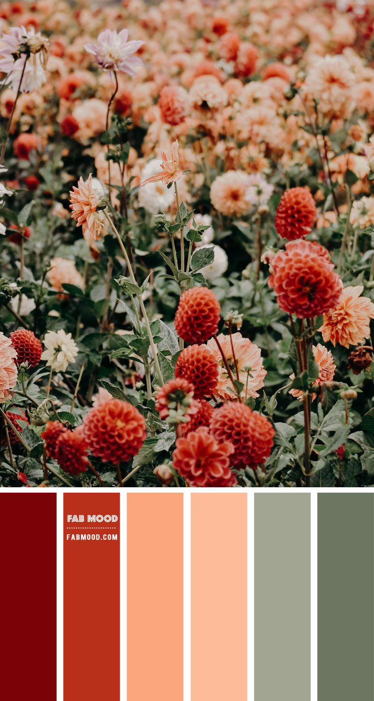 Red Peach and Sage Color Scheme – Color Palette #49 1 - Fab Mood