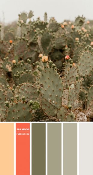 Sage and Salmon Pink Color Palette - Color Palette #45 1 - Fab Mood ...