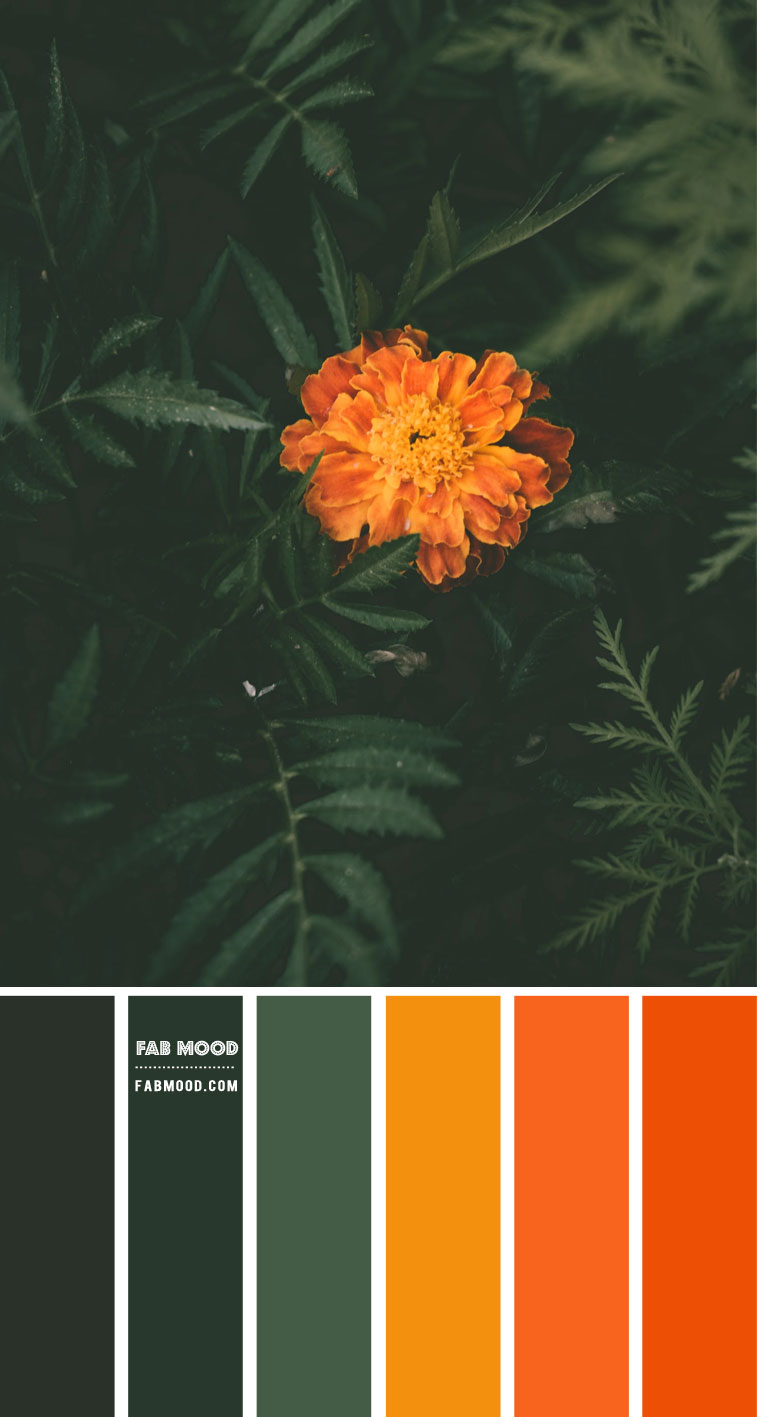 Forest Green And Burnt Orange Color Scheme Color Palette 77 1 Fab Mood Wedding Colours Wedding Themes Wedding Colour Palettes