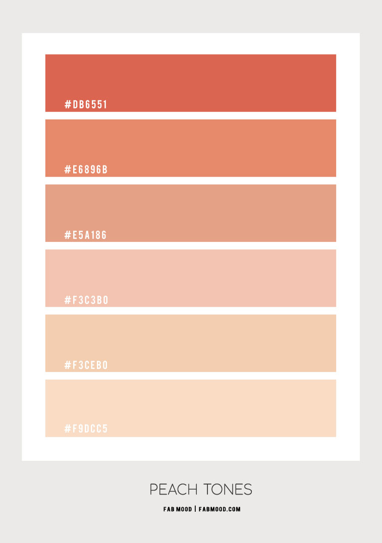 Peach Tones Colour Palette #81 1 - Fab Mood