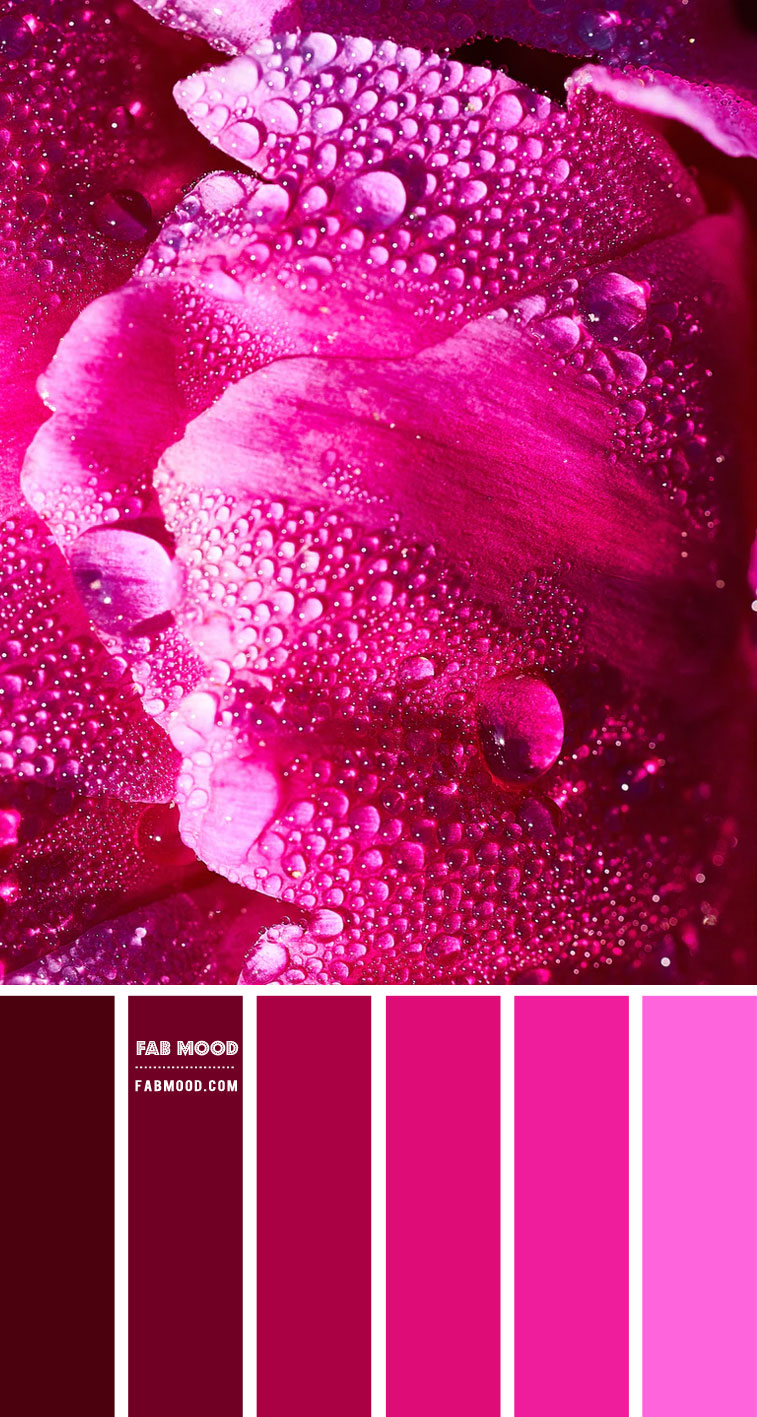 Dark Pink and Magenta Colour Palette #85 1 - Fab Mood