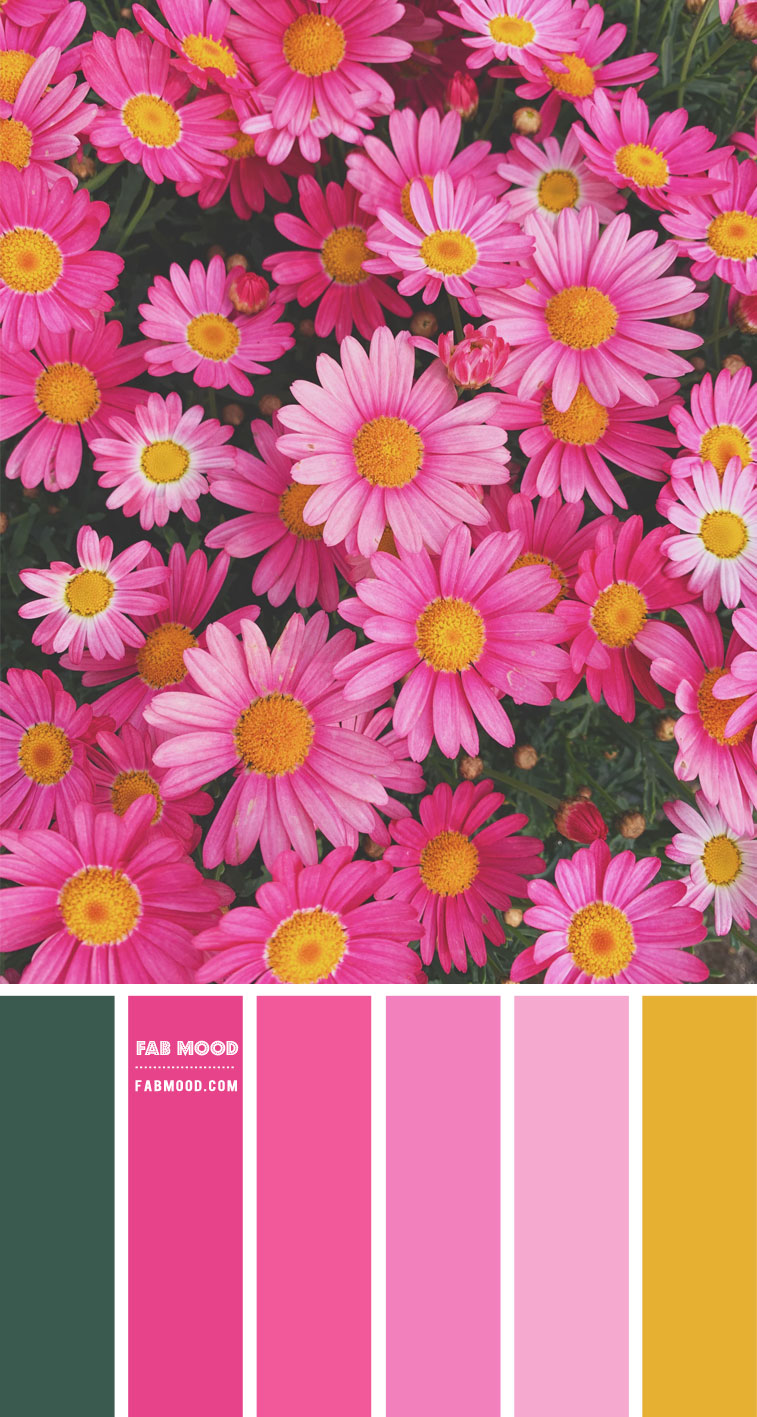 Pink Mustard Color Combo 