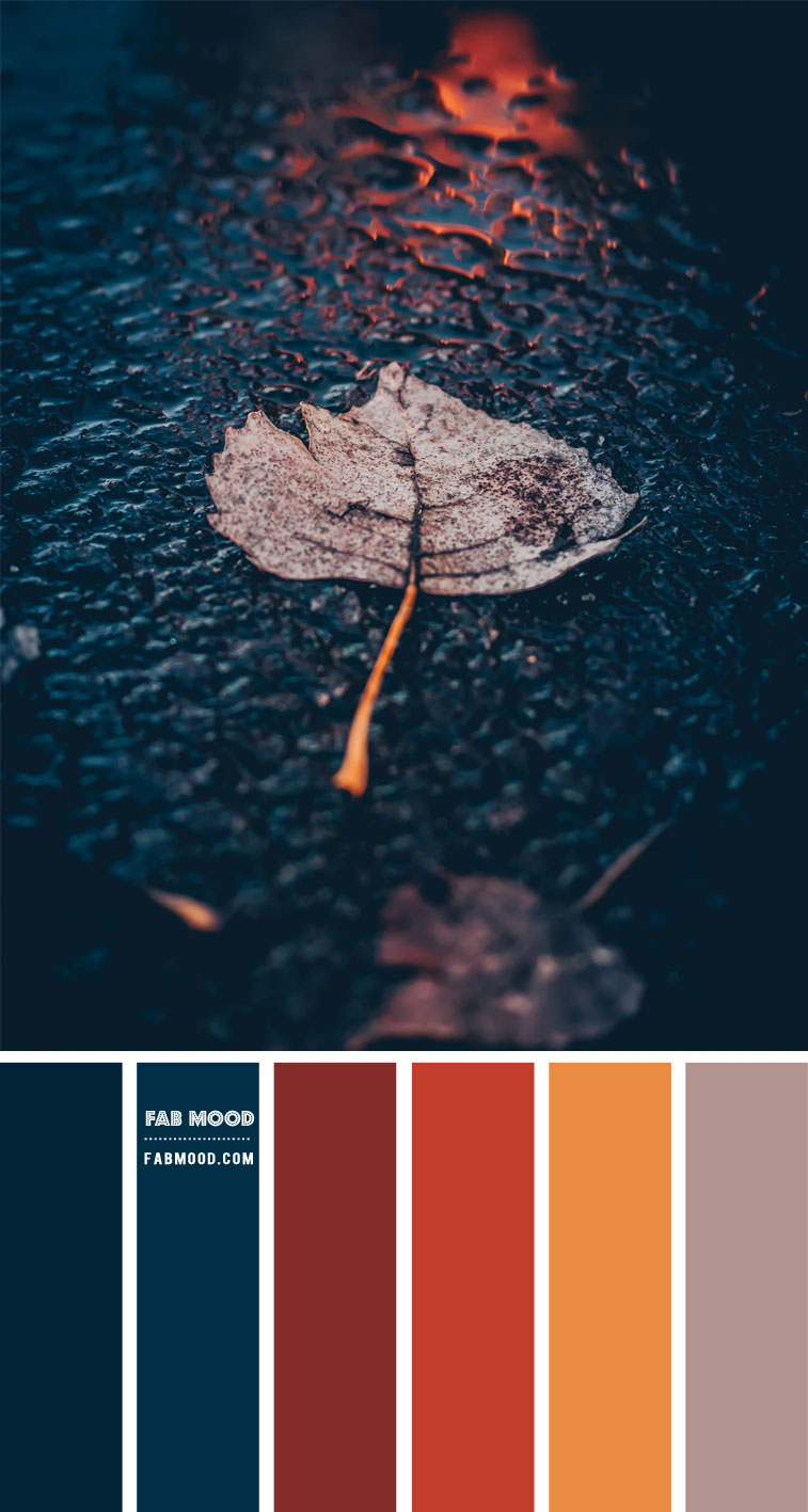 Chestnut and Dark Blue Colour Scheme– Colour Palette #102