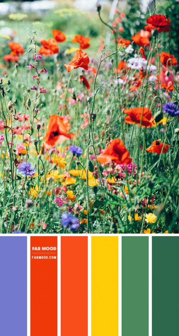 Blue, Bright Orange, Green and Yellow Colour Combo – Colour Palette #95