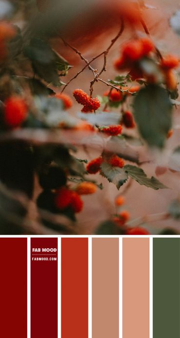 Orange Red Berries – #Colour Palette 112 1 - Fab Mood | Wedding Color ...