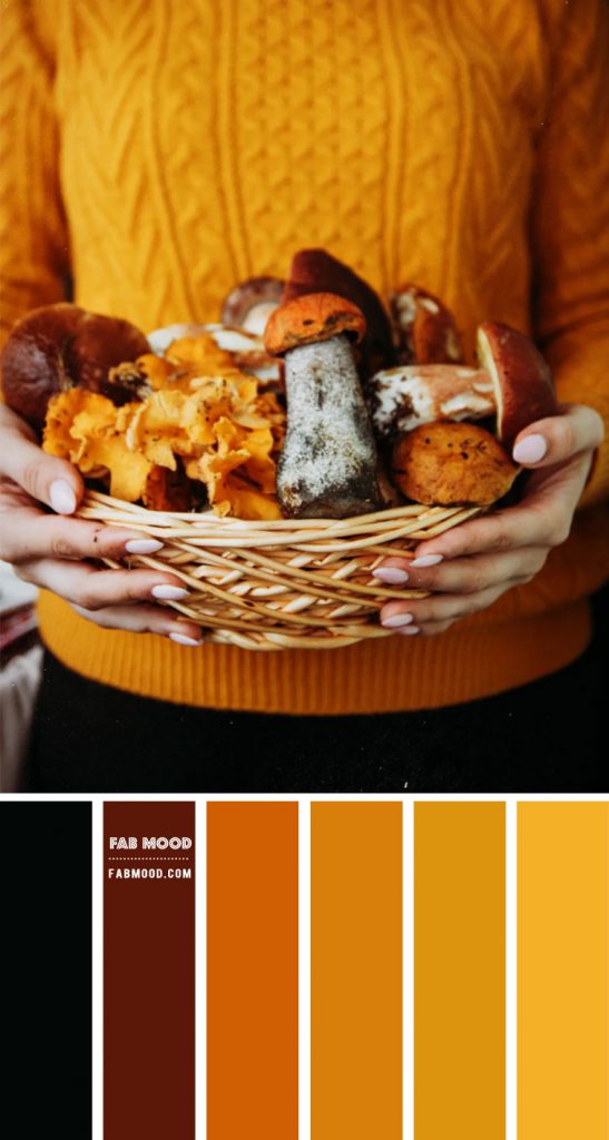 Amber and Black Color Combo – #Colour Palette 126 1 - Fab Mood ...