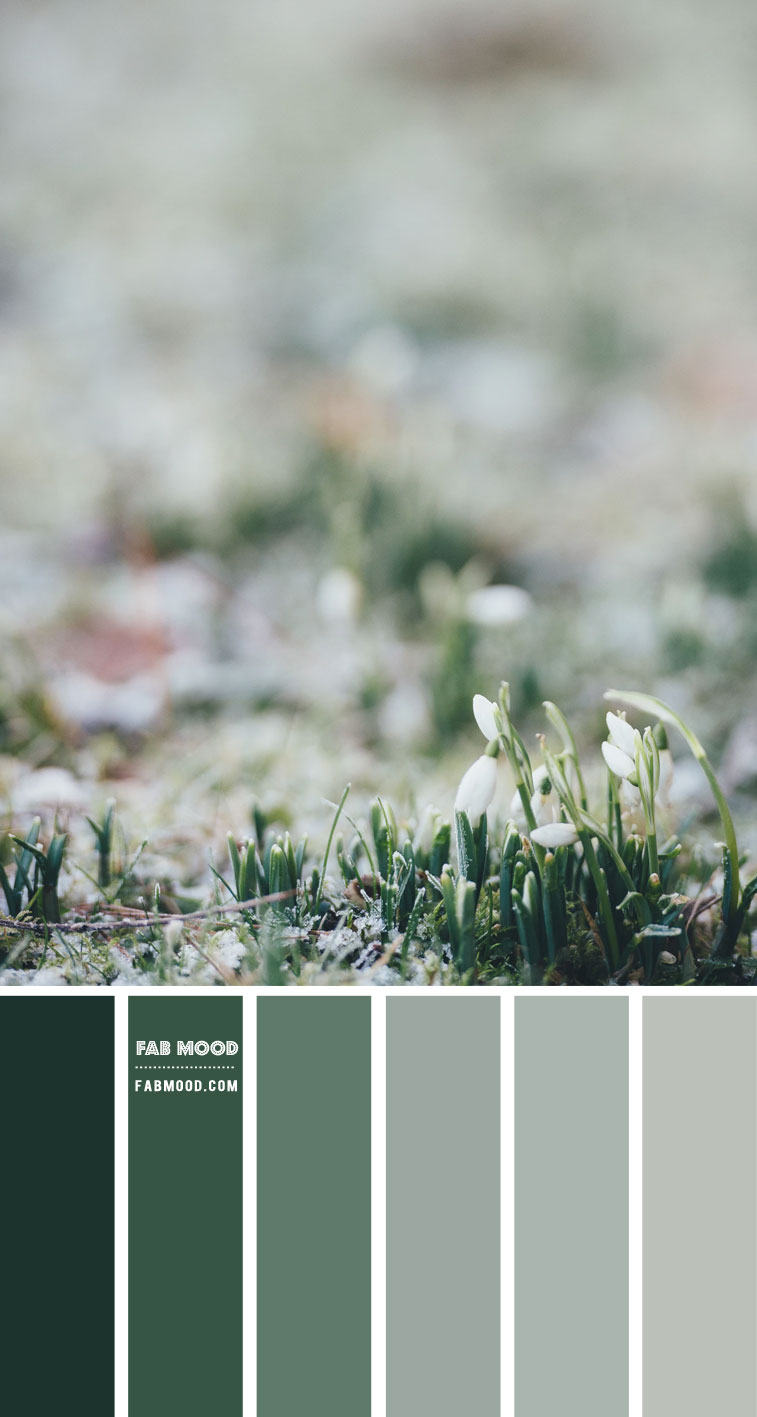 Green Colour Schemes, Inspiration By Colour