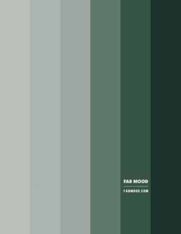 Shades of Green Colour Scheme – Colour Palette | Famood