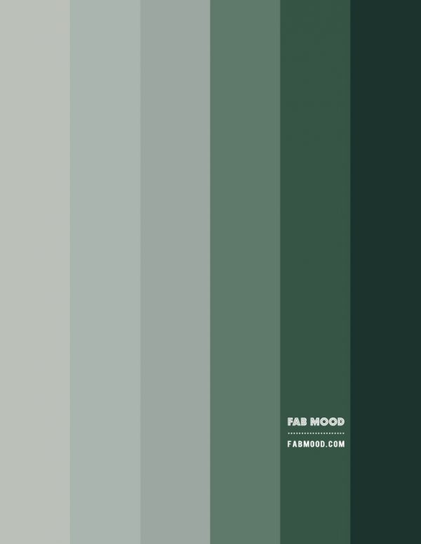 Shades Of Green Colour Scheme – Colour Palette 