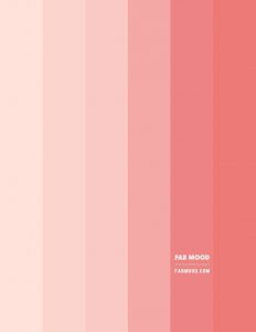 Peach and Salmon Pink Colour Scheme – Colour Palette | Fabmood