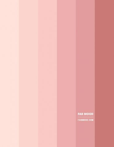 Peach and Salmon Pink Colour Scheme – Colour Palette | Fabmood