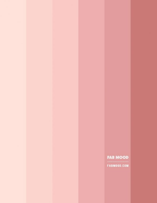 Peach and Salmon Pink Colour Scheme – Colour Palette | Fabmood