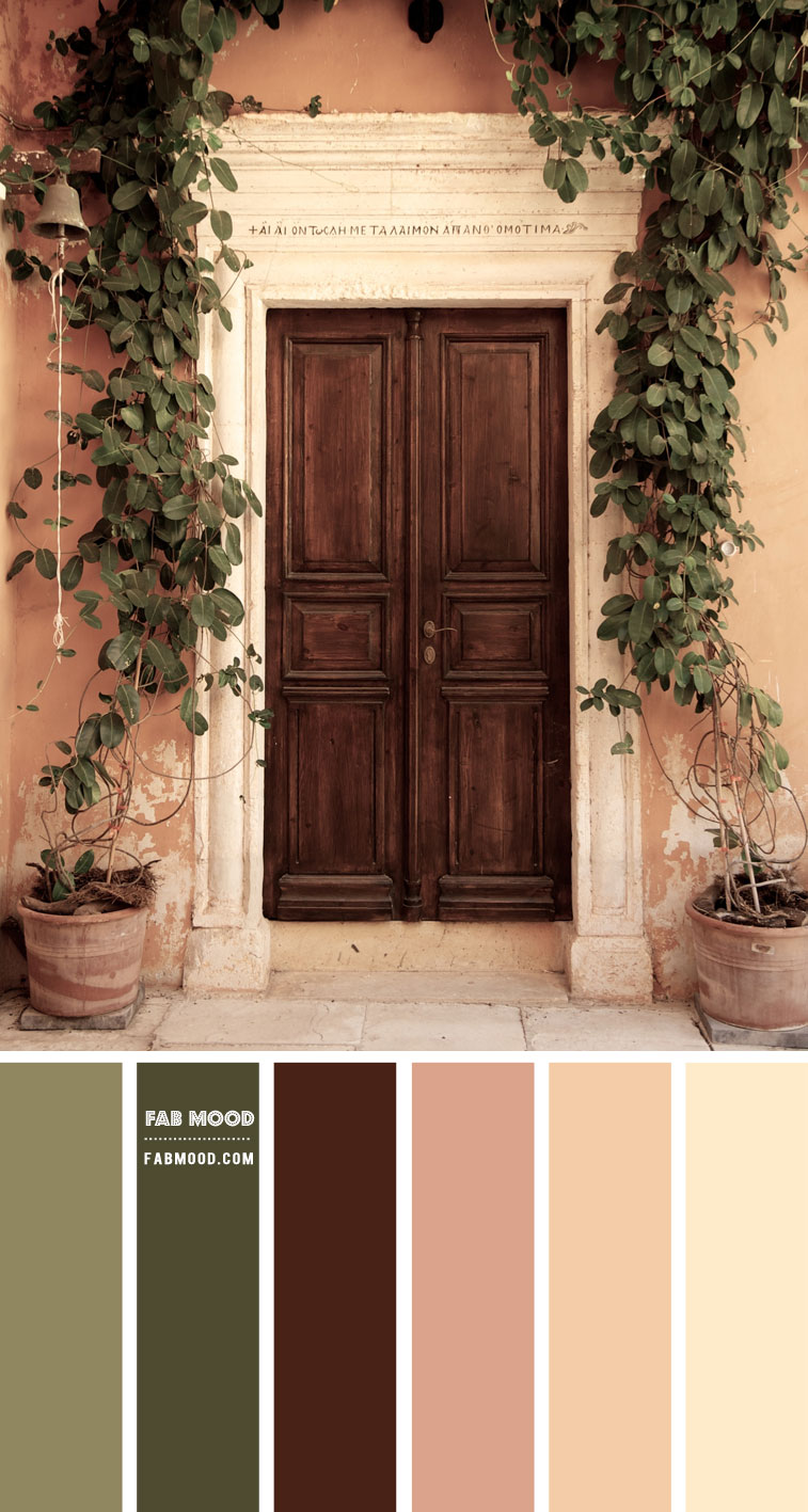 Elegant Olive Green and Taupe Color Combo