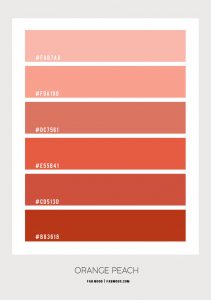 Orange Peach Colour Scheme – Colour Palette 153 1 - Fab Mood | Wedding ...