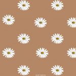 25 Brown Aesthetic Wallpaper for Laptop : Daisy Daisy 1 - Fab Mood