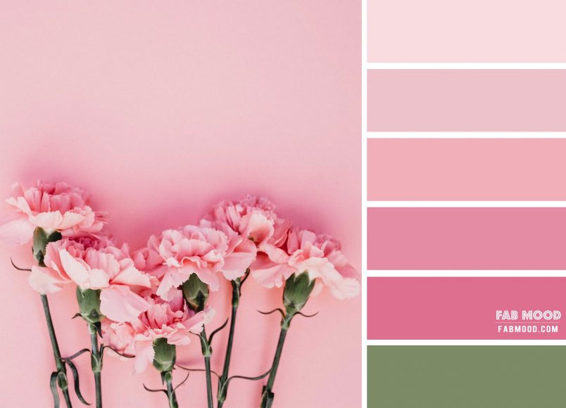 Pink and Sage Colour Palette | Pastel Color HEX | Background