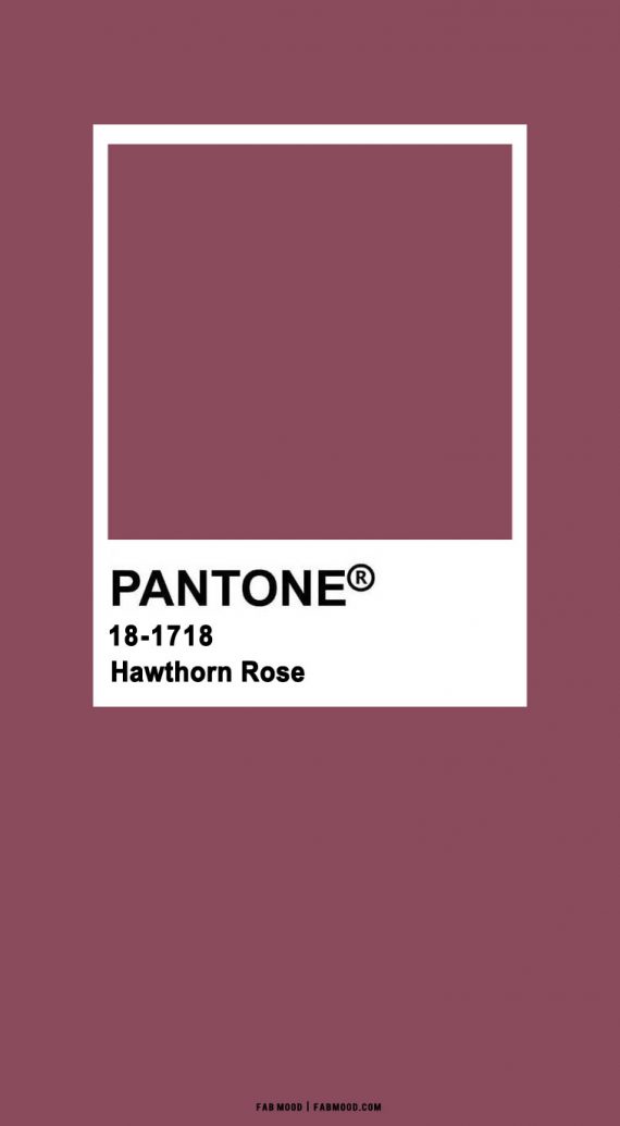 Pantone Color of The Year 2022 + 9 Color Ideas 1 - Fab Mood | Wedding ...