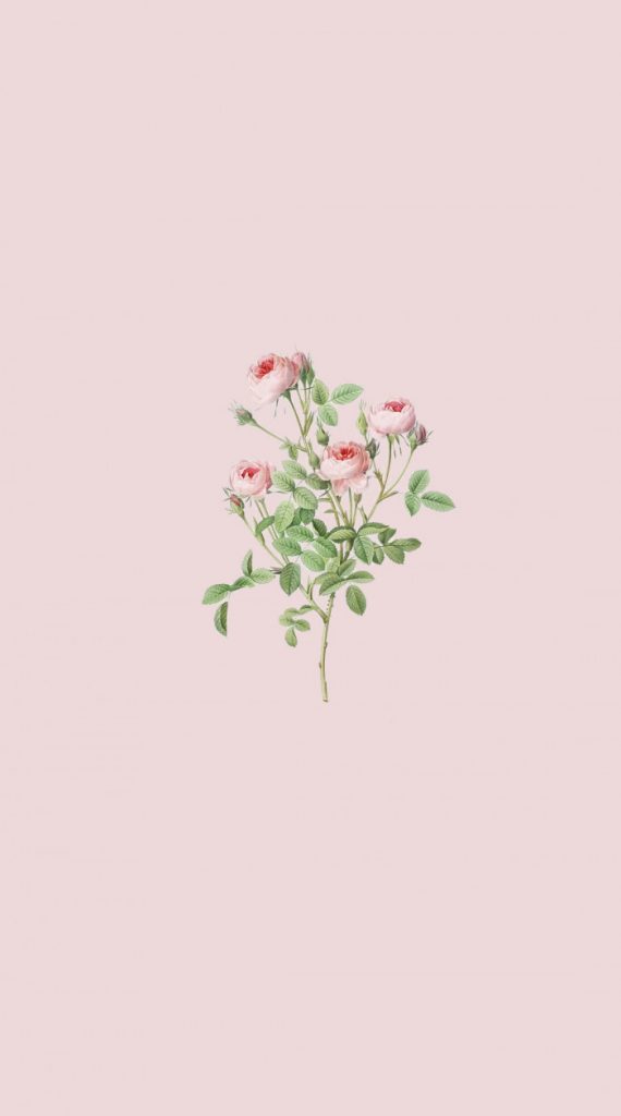 20 Cute Spring Wallpaper for Phone & iPhone : Rose Wallpaper 1 - Fab