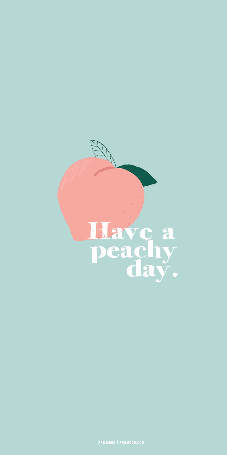 Peach Aesthetic Wallpapers on WallpaperDog