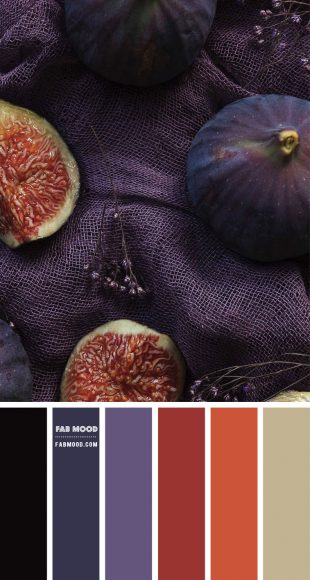 Fig Colour Scheme – Colour Palette 167 1 - Fab Mood | Wedding Color ...