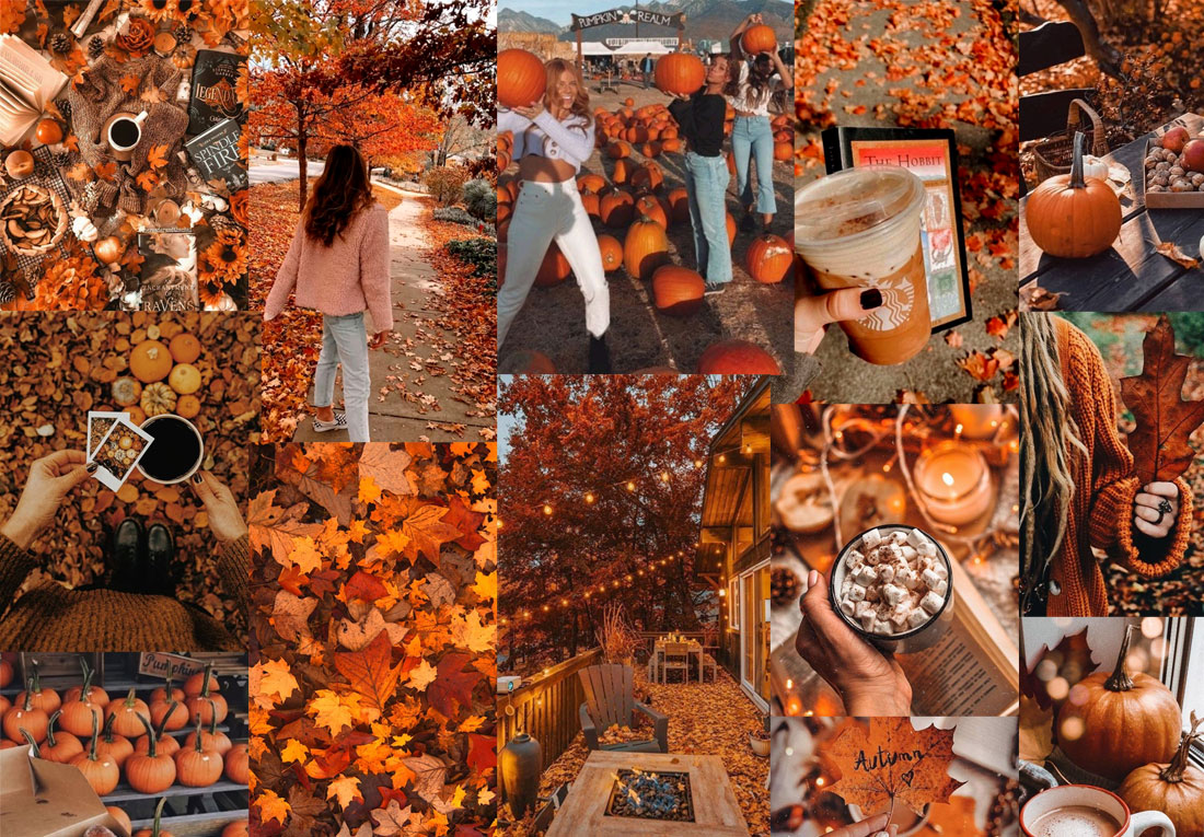 11 Cute Autumn Wallpaper Aesthetic For Phone : Fall is in the Air Wallpaper  Aesthetic I Take You, Wedding Readings, Wedding Ideas, Wedding Dresses