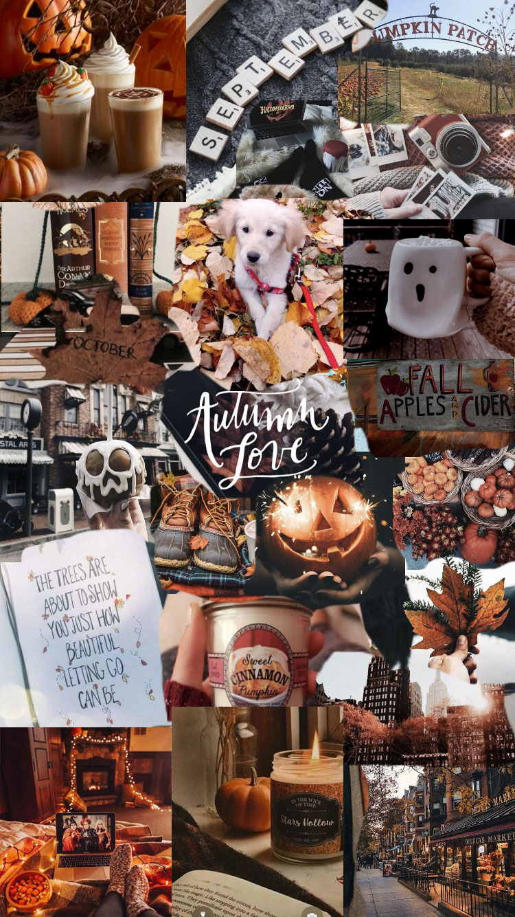 50 Beautiful Fall Pictures and Images  Parade Entertainment Recipes  Health Life Holidays