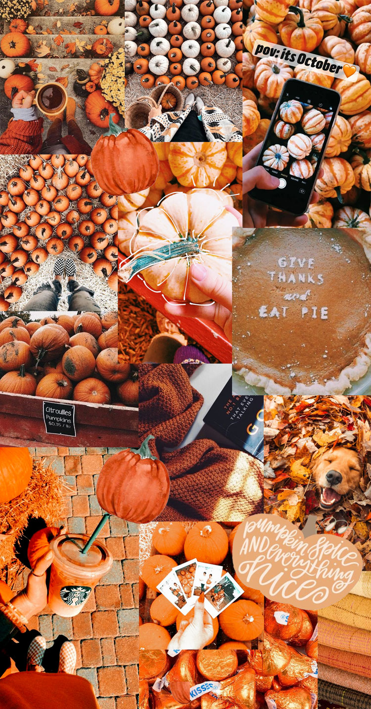 10 Autumn Collage Wallpaper Ideas For Pc And Laptop And All At Once 1 Fab Mood Wedding