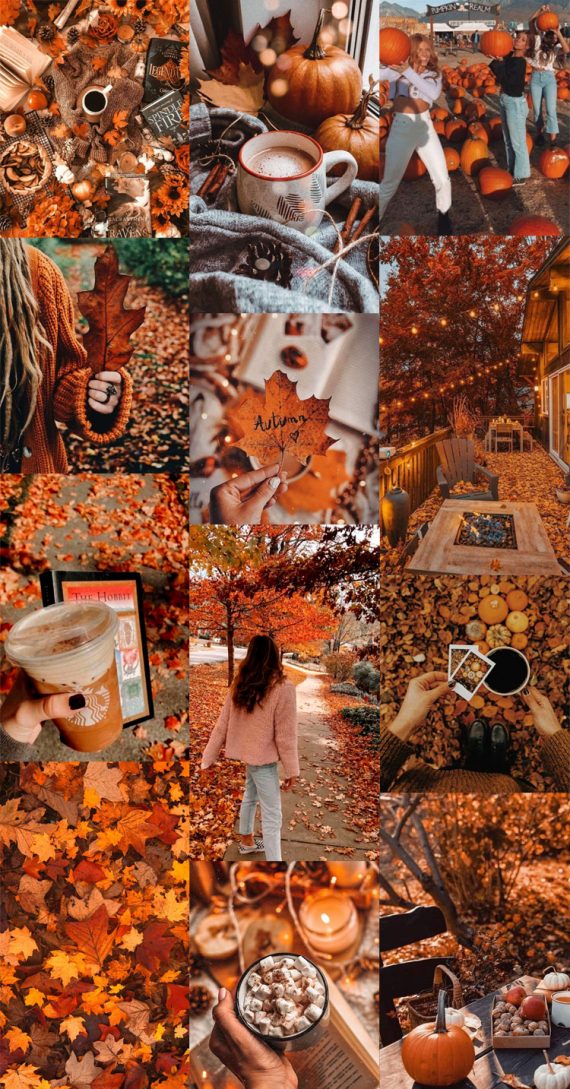 20 Autumn Collage Wallpapers : Cozy Autumn Pumpkin 1 - Fab Mood