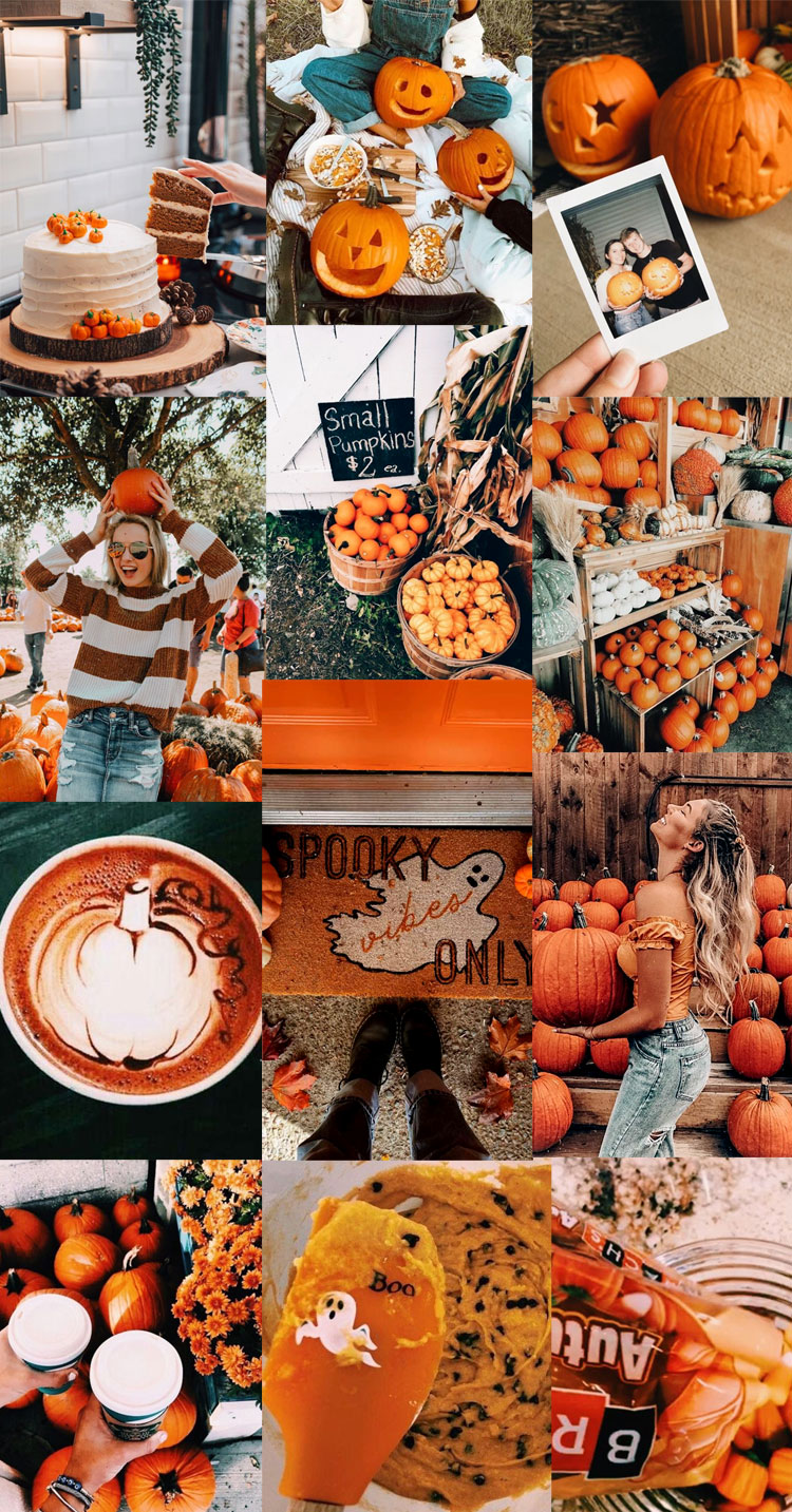 40 Autumn Collage Ideas Patchwork of Fall's Beauty : Autumn Times 1 ...