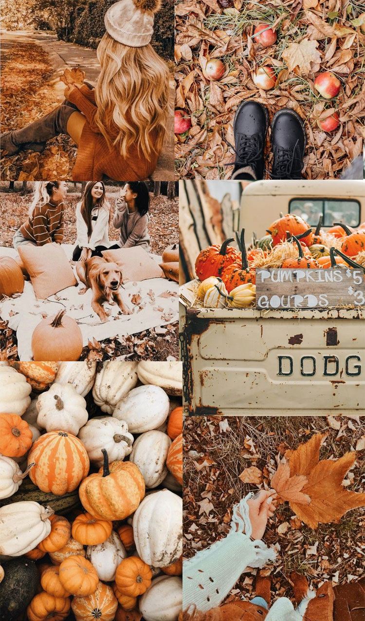 Halloween collage Art Board Print for Sale by AmeliaValley  Redbubble