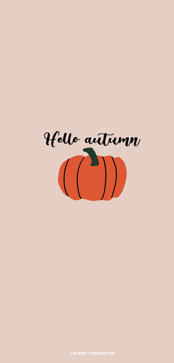 20 Cute Autumn Wallpaper Ideas : Grey Background 1 - Fab Mood