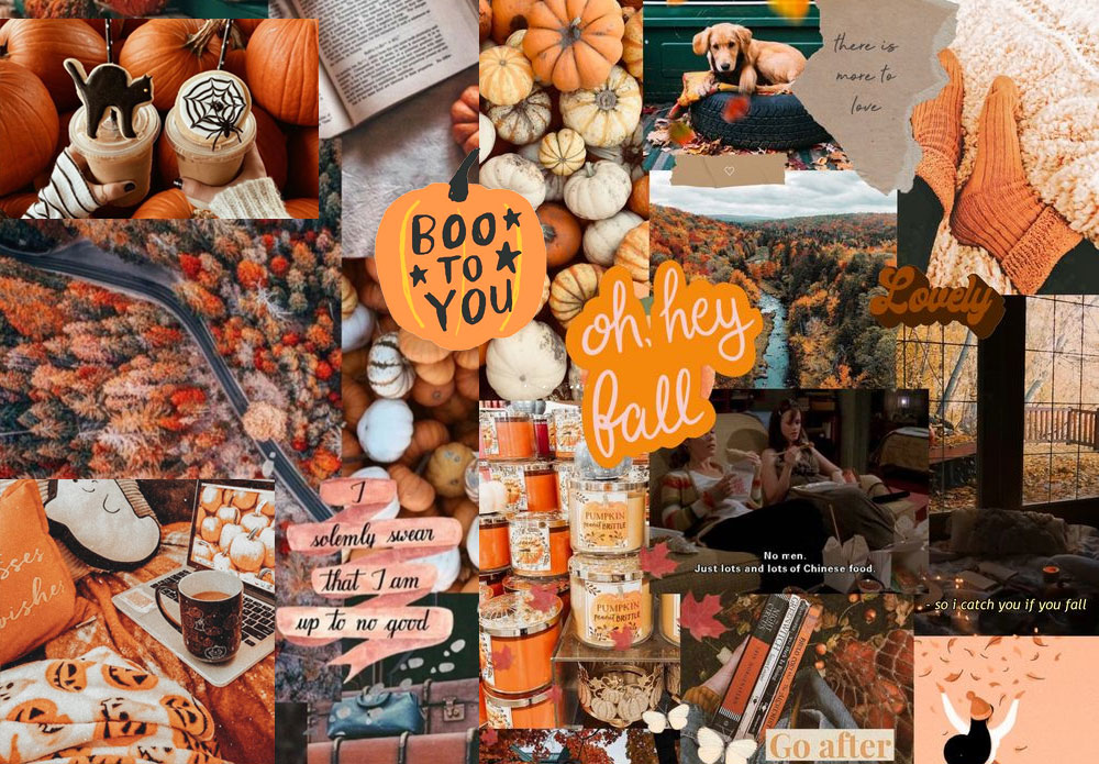 Pin by Nina Balogh on Autumn  Cute fall wallpaper Desktop wallpaper fall Halloween  wallpaper iphone