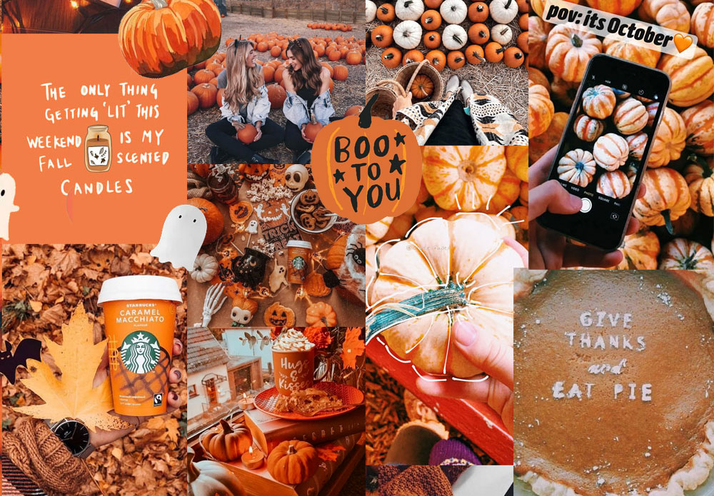 Download Autumn Aesthetic Laptop Cool Collage Wallpaper  Wallpaperscom
