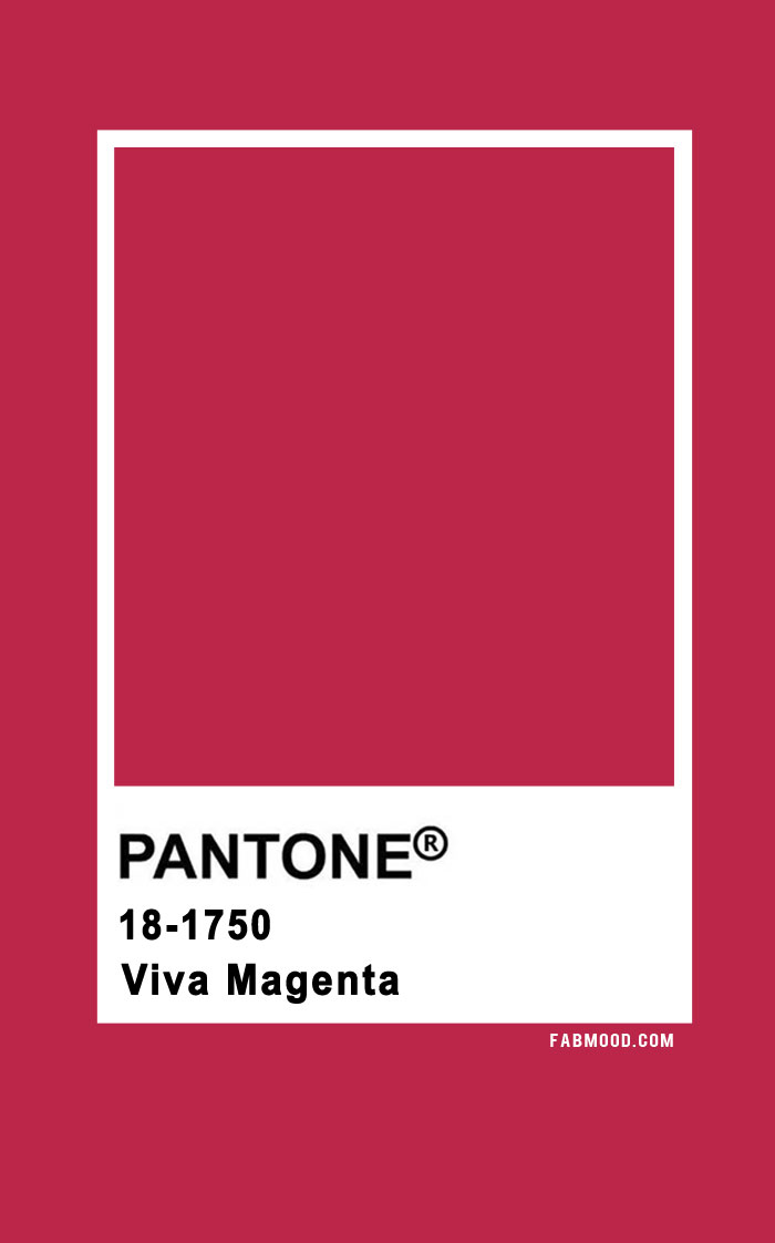 Viva Magenta ― Pantone Colour Of The Year 2023 1 - Fab Mood