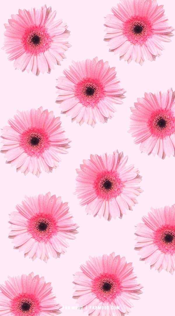 flowered wallpaper for iphone