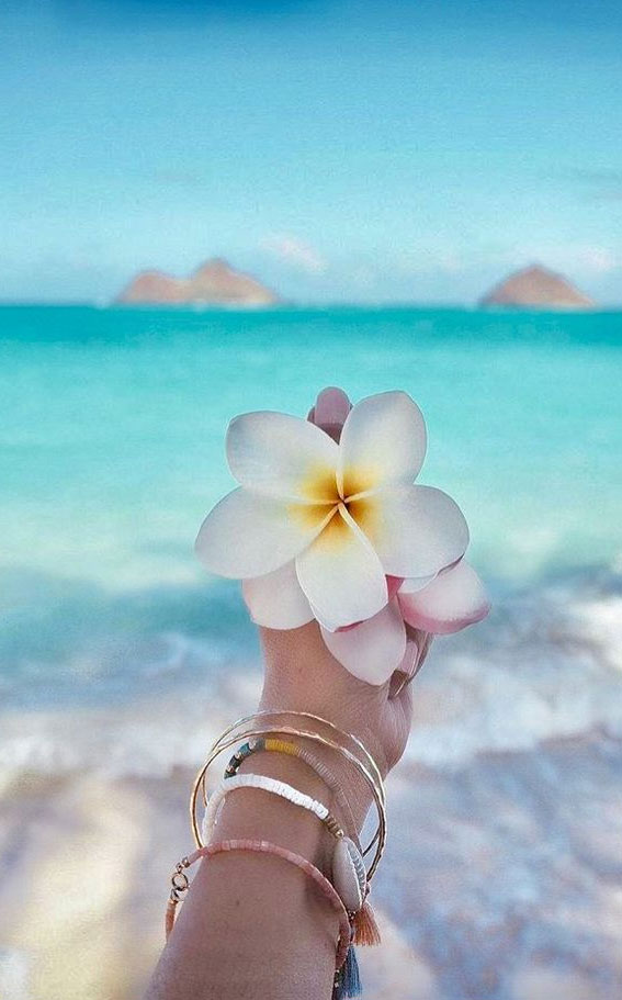 hibiscus flower aesthetic, best friend aesthetic, summer vibes, summer aesthetic, summer friends, summer aesthetic girl, best friend aesthetic pictures , friends aesthetic, summer beach vibes, summer images, summer pictures, summer aesthetic outfits, summer aesthetic wallpaper, summer aesthetic friends, beach picnic, summer picnic aesthetic, summer aesthetic pictures
