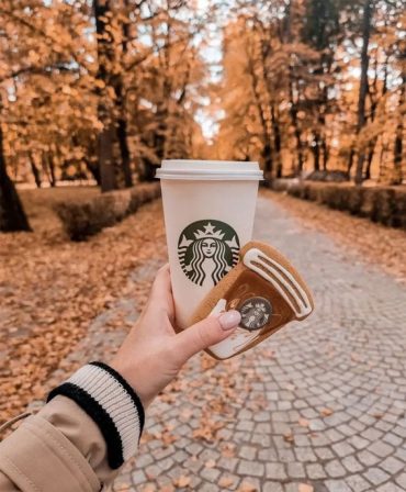 Capturing the Aesthetics of the Fall Season : Starbucks Biscuits 1