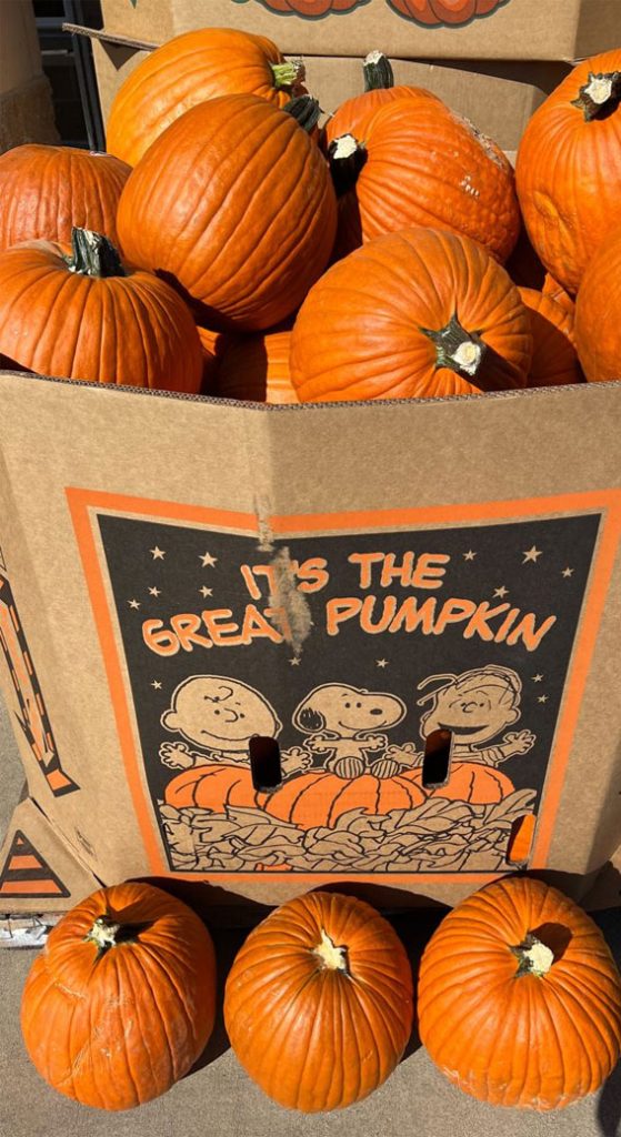 Capturing the Aesthetics of the Fall Season : It's The Great Pumpkin 1