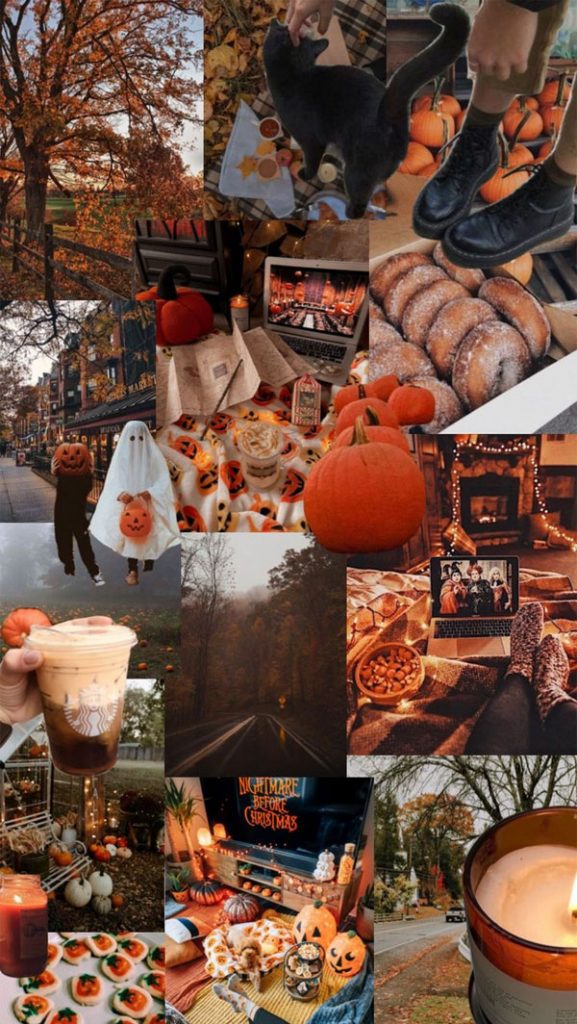 Harvest Harmony Collages of Autumn's Beauty : Pumpkin Donut Fall ...