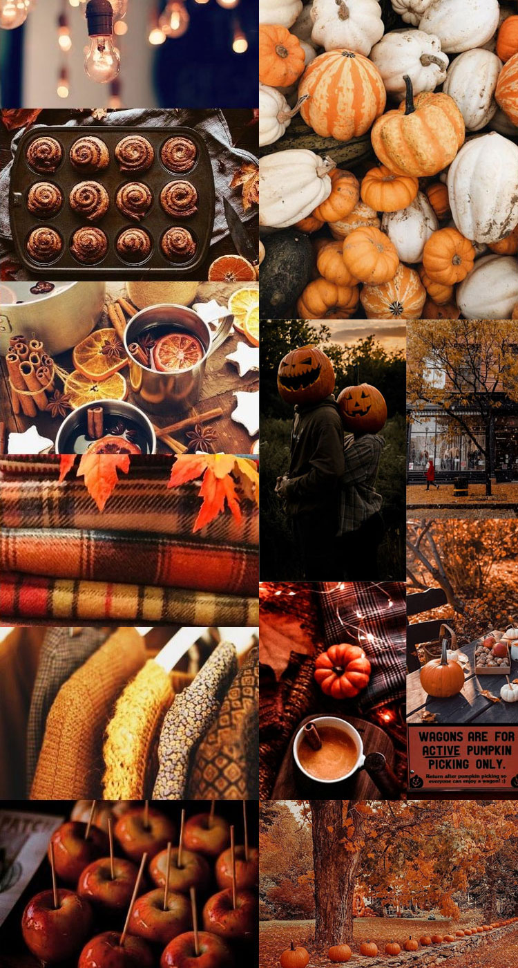 Harvest Harmony Collages of Autumn's Beauty : Seasonal Delicacies 1 ...