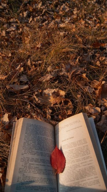 50 Visual Journeys Through Fall’s Aesthetics : Book + Autumn Aesthetic